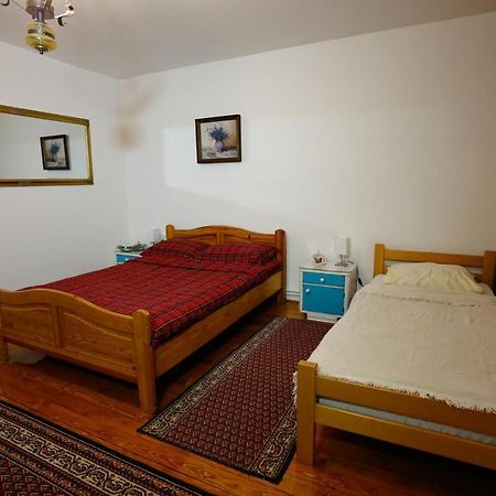 Apartman Carpe Diem Zaječar Extérieur photo